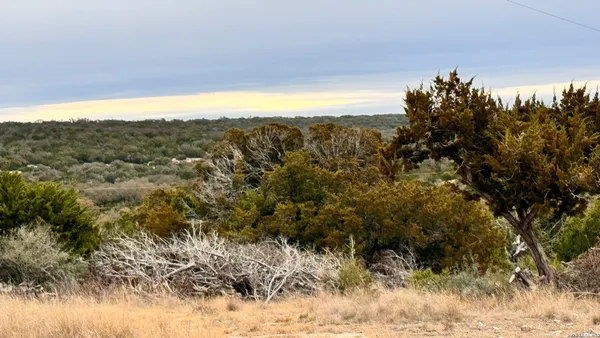 a view of a forest with a mountain