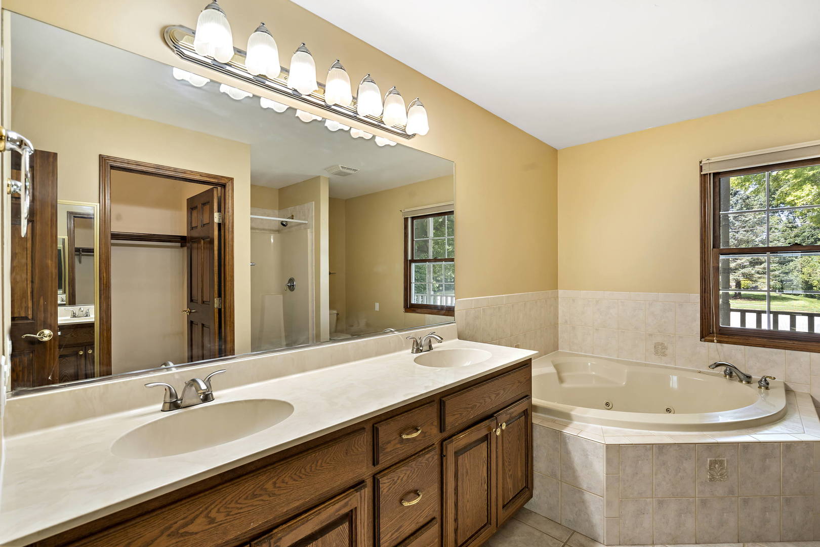 23501 West McClintock Road Channahon, IL 60410 - Photo 6 of 19 a bathroom with a sink a large mirror and a bathtub