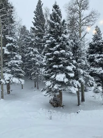 $569,900 | 2842 Wendt Lane, Fort Garland, CO 81133