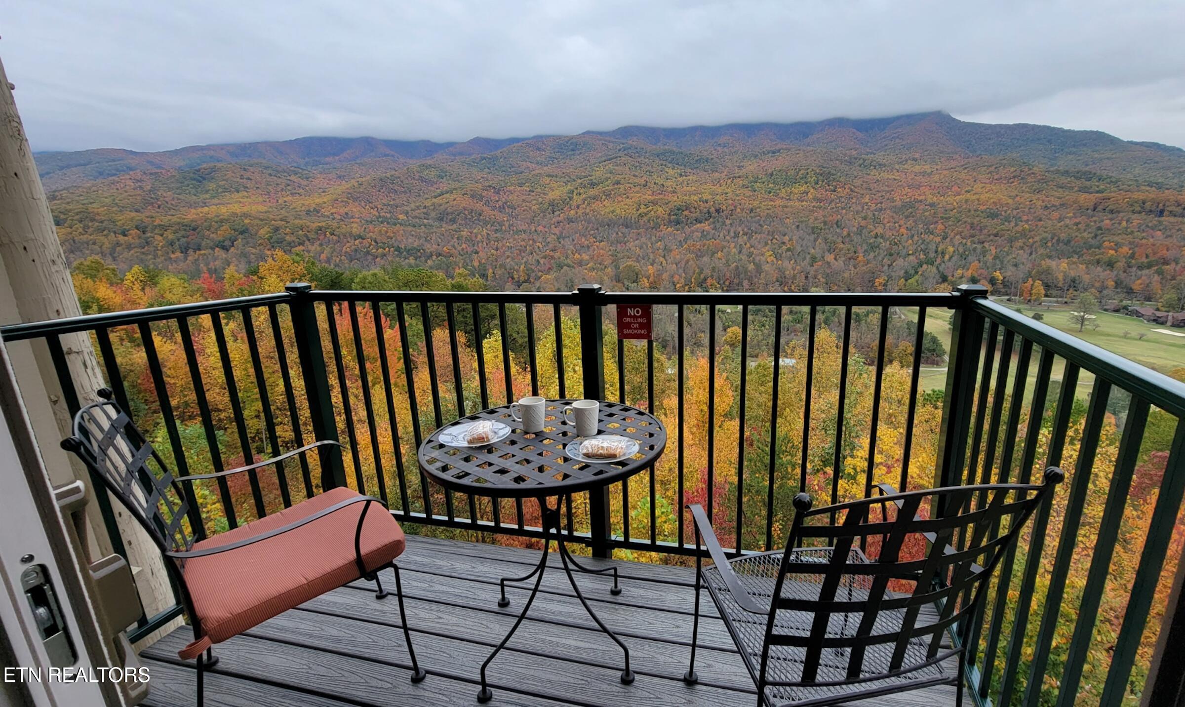 3710 Weber Road, Unit C203 Gatlinburg, TN 37738 - Photo 5 of 36 BALCONY VIEW B203