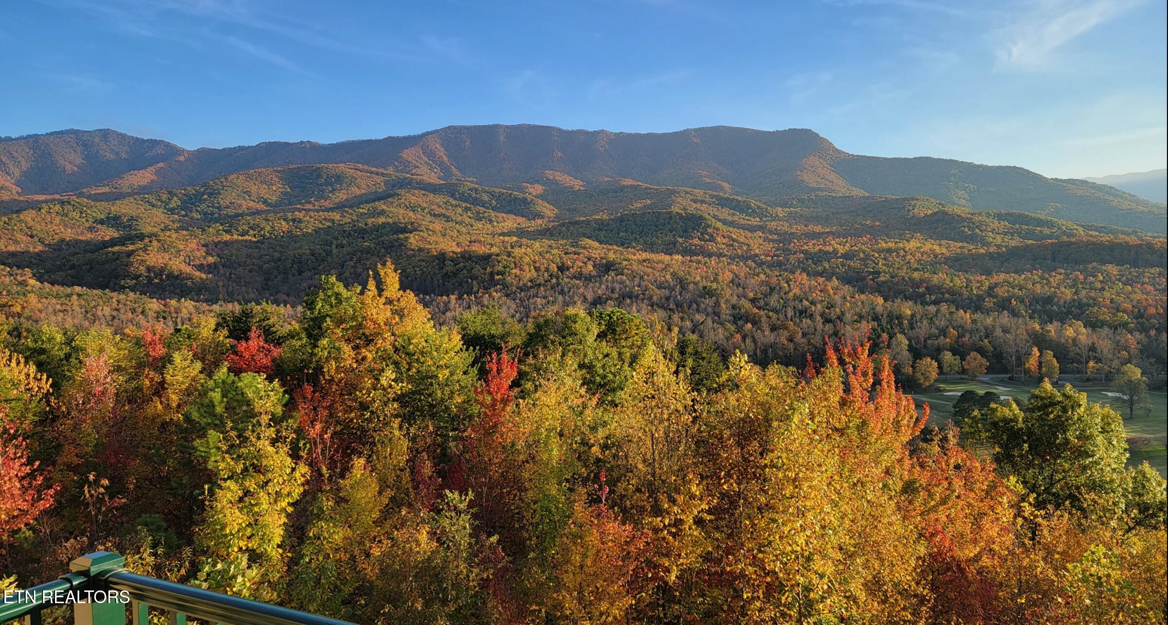 3710 Weber Road, Unit C203 Gatlinburg, TN 37738 - Photo 6 of 36 MOUNTAIN VIEW