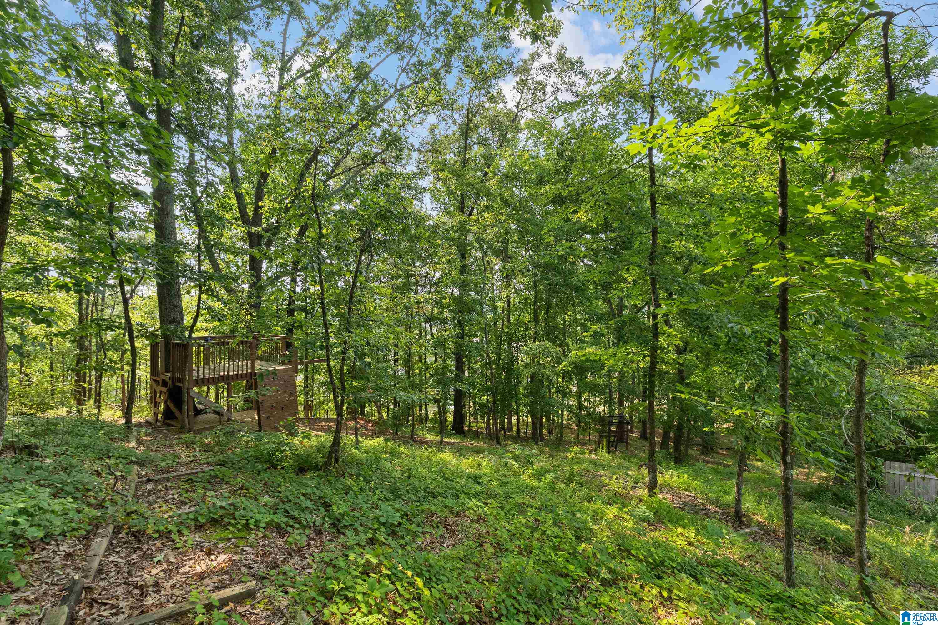 4544 Eagle Point Drive Birmingham, AL 35242 - Photo 4 of 70