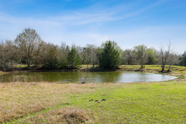 $795,960 | 6804 County Road 126, Caldwell, TX 77836