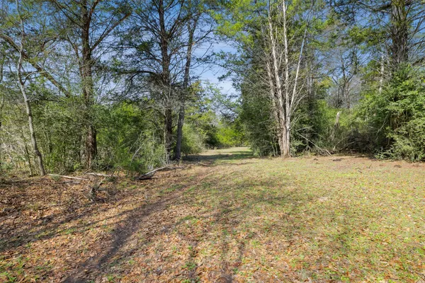$795,960 | 6804 County Road 126, Caldwell, TX 77836