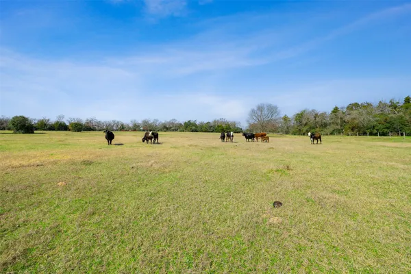 $795,960 | 6804 County Road 126, Caldwell, TX 77836