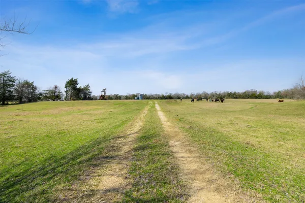 $795,960 | 6804 County Road 126, Caldwell, TX 77836