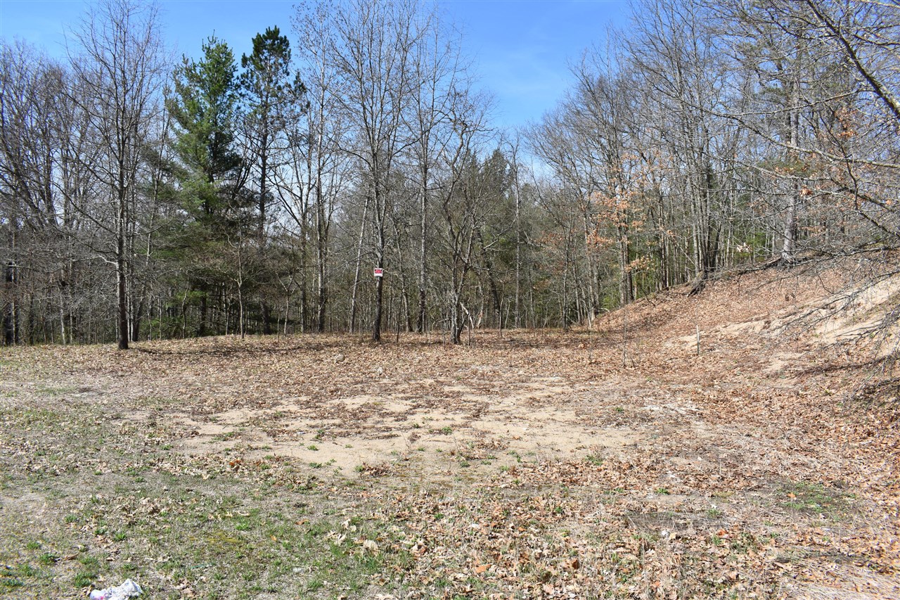 0 South Walhalla Road Fountain, MI 49410 - Photo 8 of 11