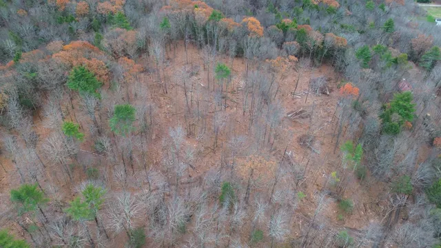 $239,000 | Lot 26-3 Plain Road, Hinsdale, NH 03451