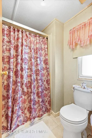 a white toilet sitting next to a shower curtain