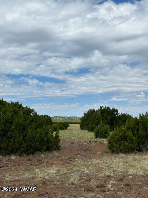 N3109 Rd Vernon Az 85940 Road Vernon, AZ 85940 - Photo 14 of 17