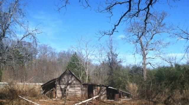 240 Old River Road Pelzer, SC 29669 - Photo 5 of 6
