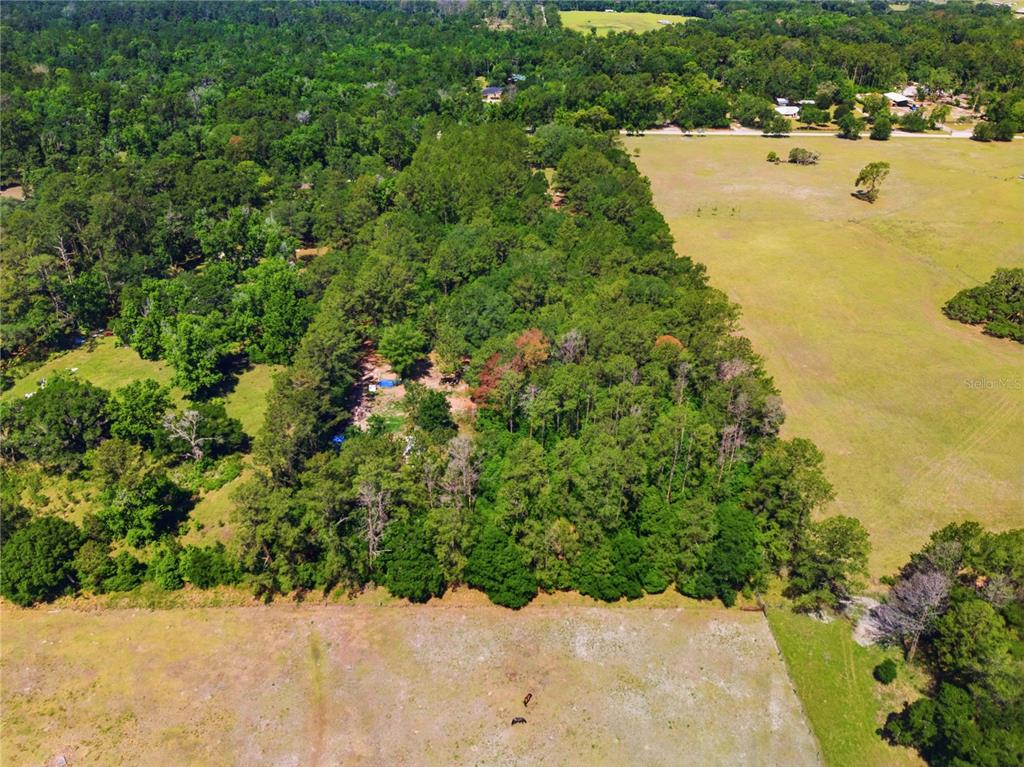 1074 Culbreath Road Brooksville, FL 34602 - Photo 14 of 20 a view of a pathway both side of yard