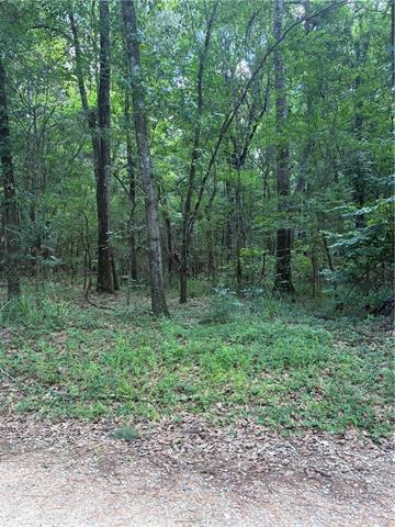 0 Gin Road Pineville, LA 71360 - Photo 6 of 7