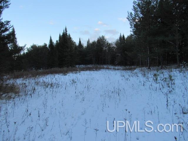 Tbd Tbd Tower Perkins, MI 49872 - Photo 13 of 22