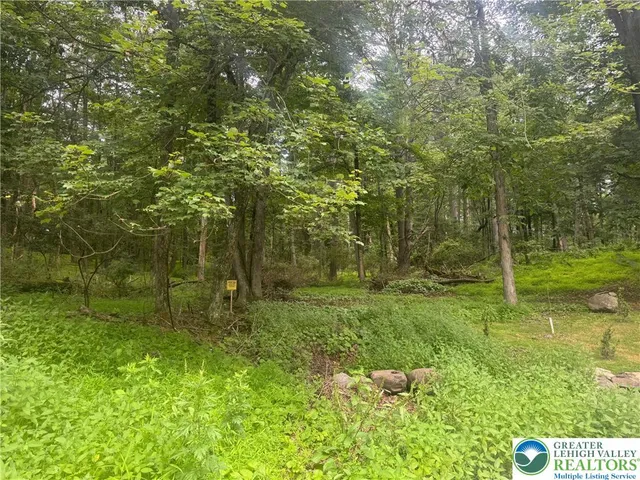 a large garden with lots of trees