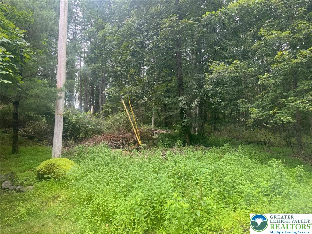 Seneca Way Stroudsburg, PA 18360 - Photo 2 of 5 a backyard of a house with lots of green space and glass windows