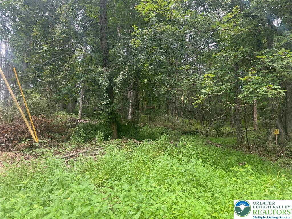 Seneca Way Stroudsburg, PA 18360 - Photo 3 of 5 a view of outdoor space and garden