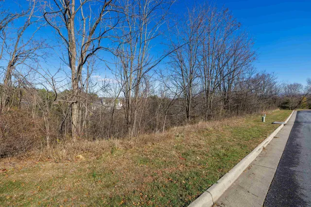 a view of a lake with a yard