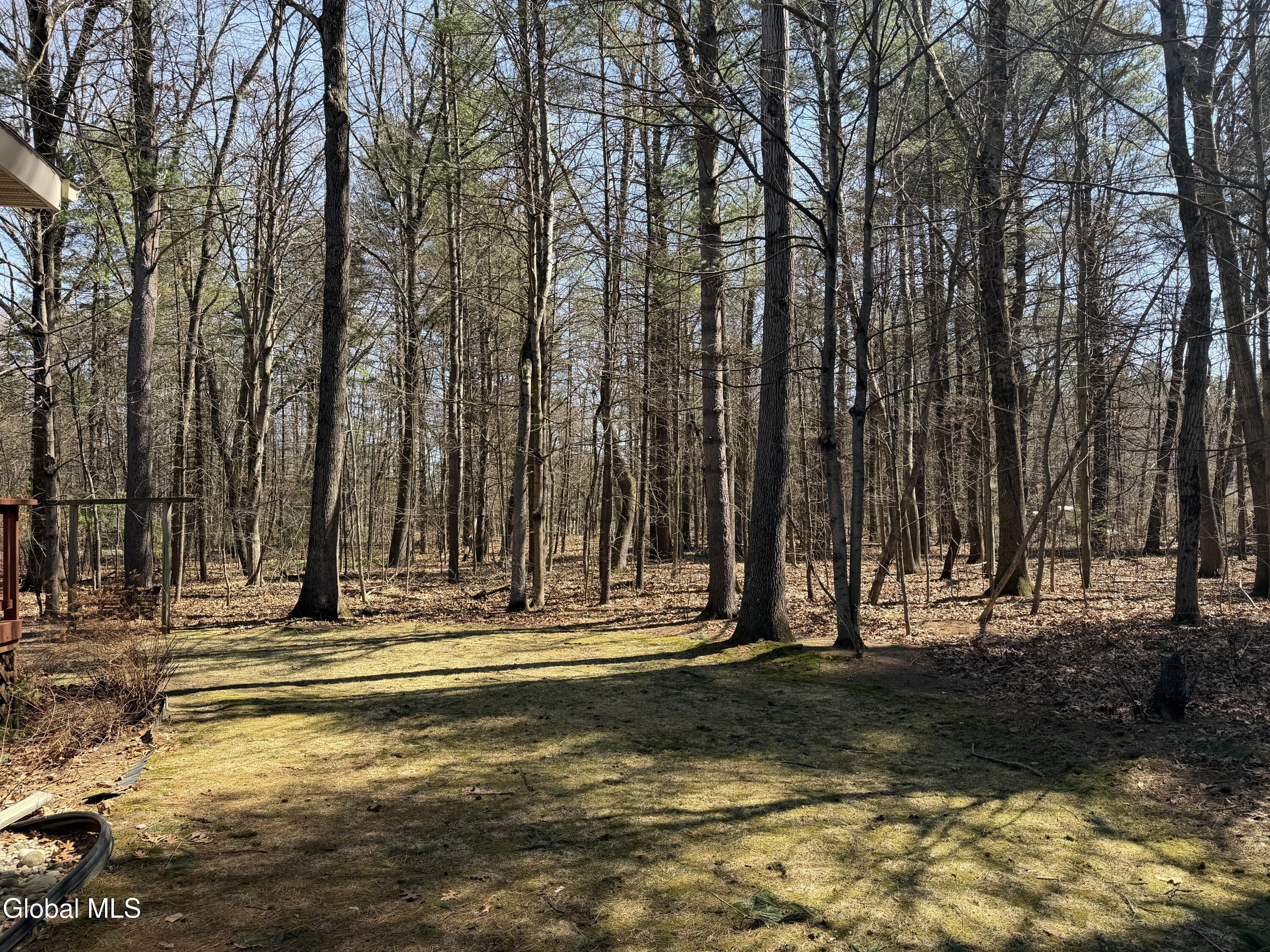 3 Donegal Way Wilton, NY 12866 - Photo 41 of 44 IMG_0620