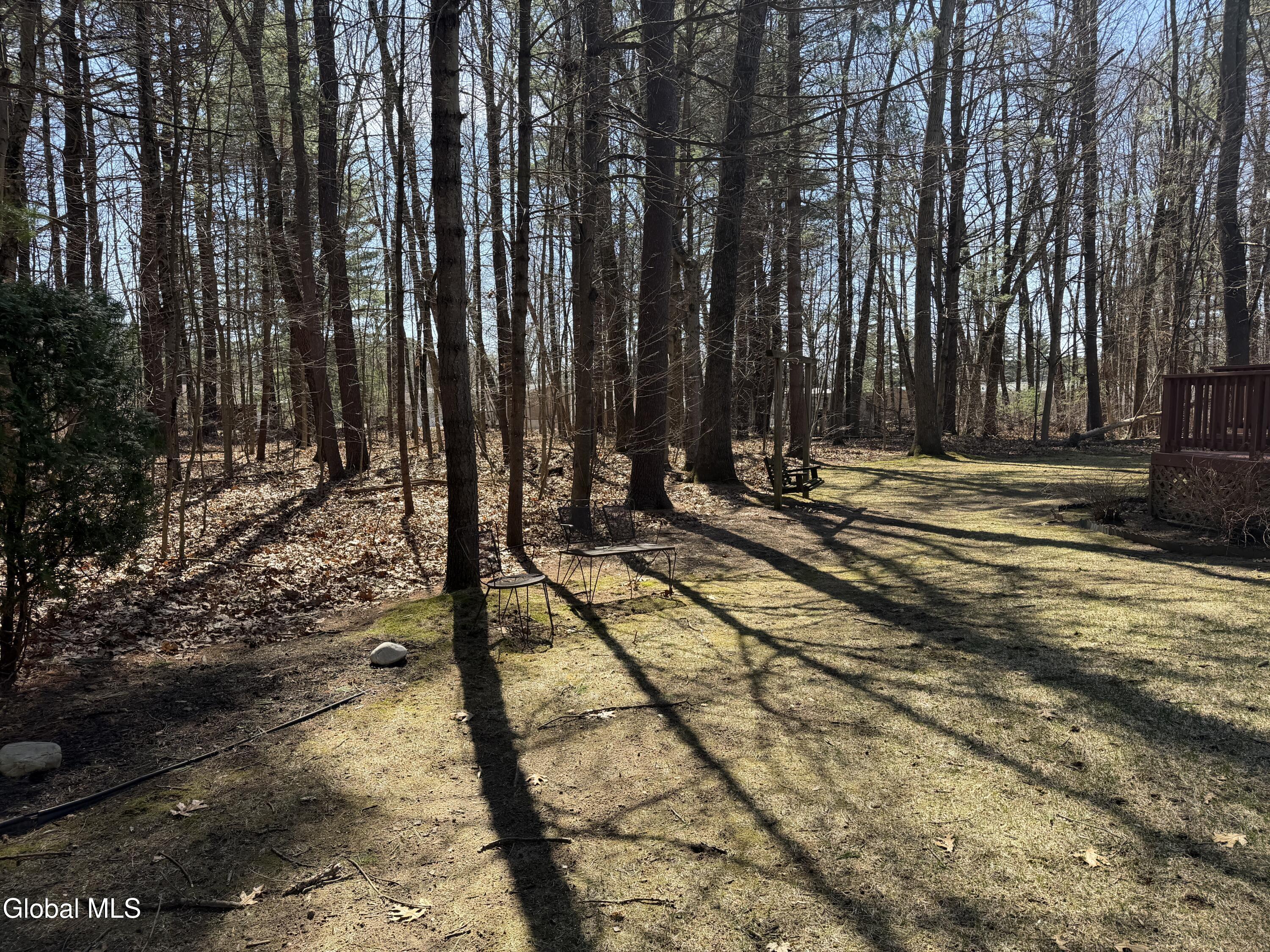 3 Donegal Way Wilton, NY 12866 - Photo 42 of 44 IMG_0619