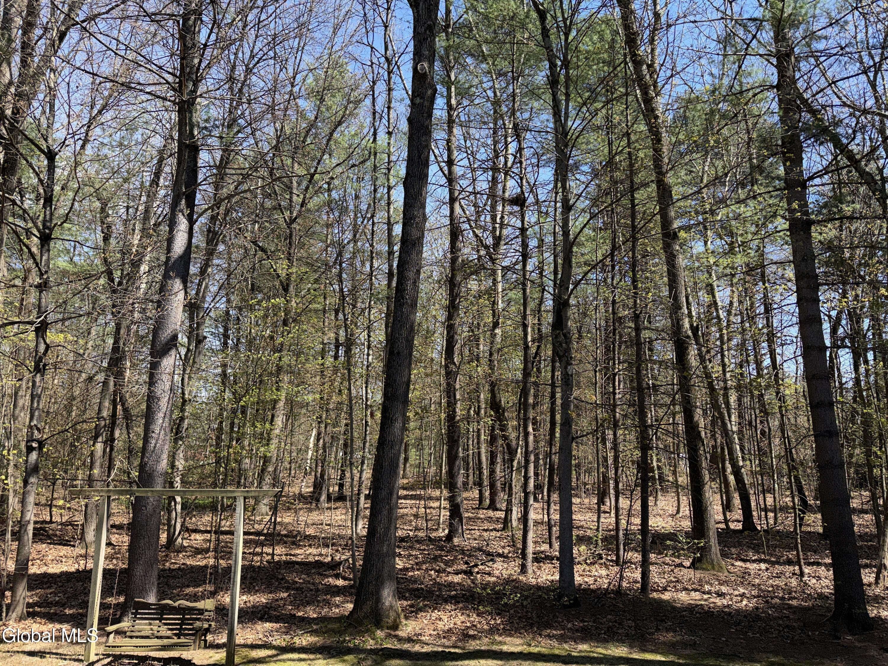 3 Donegal Way Wilton, NY 12866 - Photo 44 of 44 IMG_0797