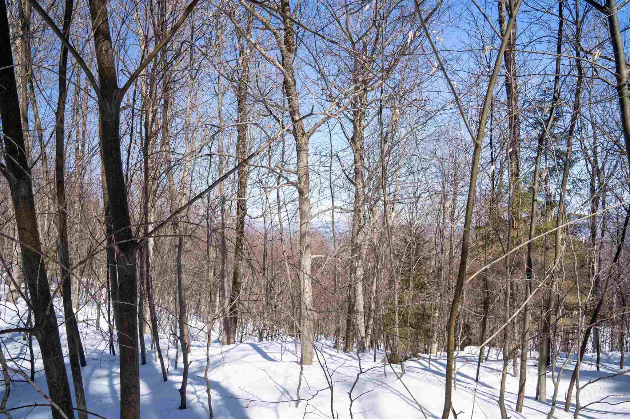 0 Old Ridge Road, Unit LOT 3 Winhall, VT 05340 - Photo 16 of 20