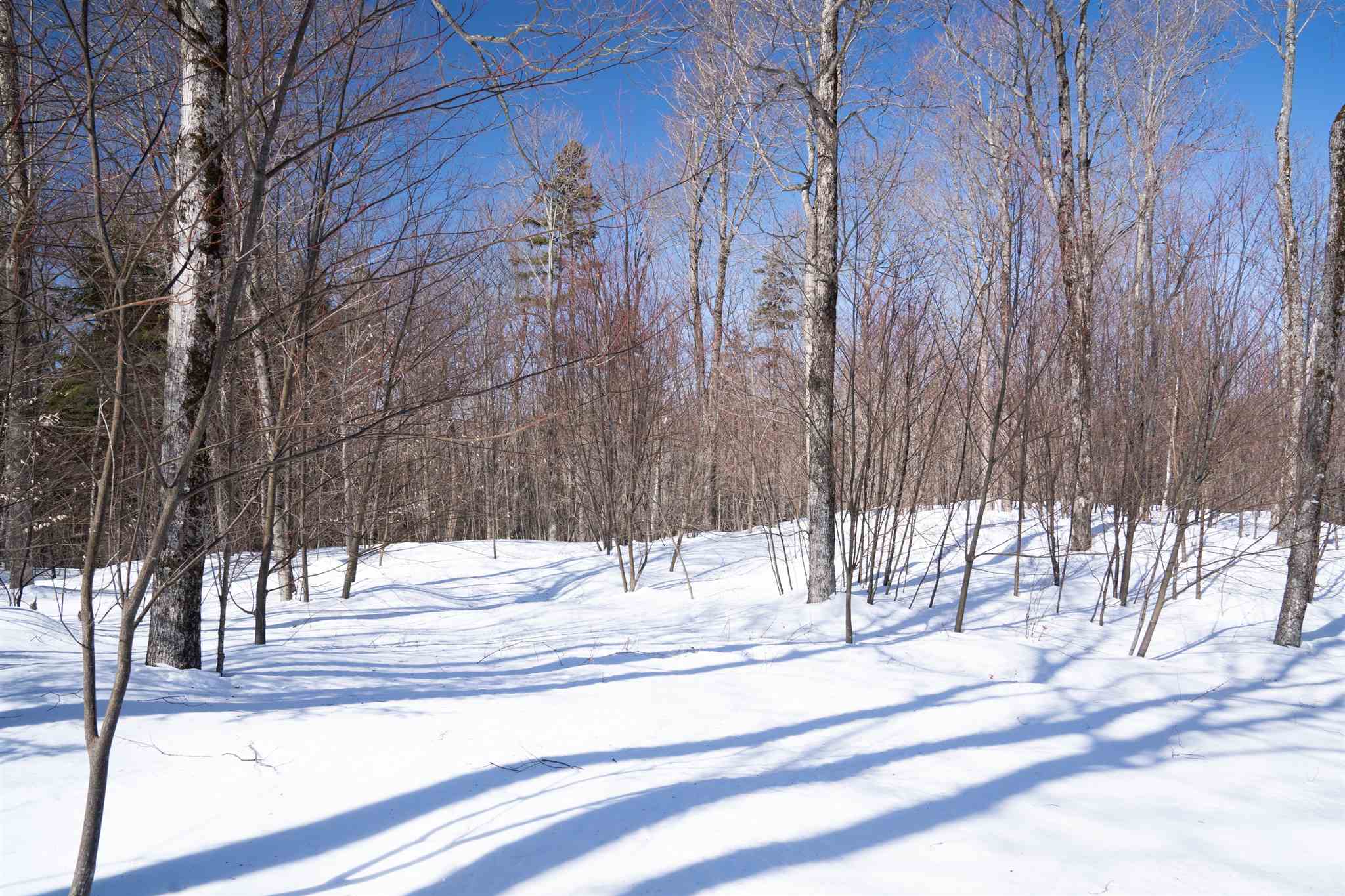 0 Old Ridge Road, Unit LOT 3 Winhall, VT 05340 - Photo 17 of 20