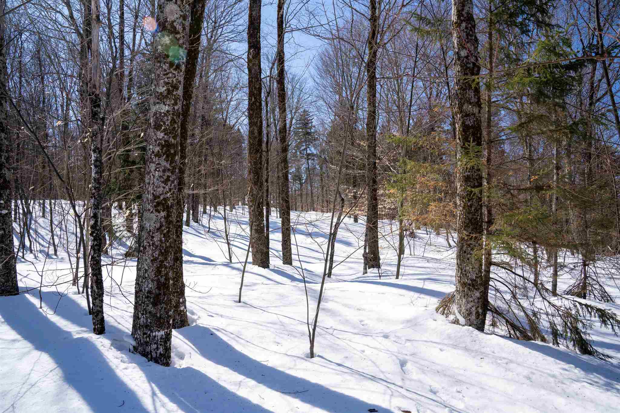 0 Old Ridge Road, Unit LOT 3 Winhall, VT 05340 - Photo 18 of 20