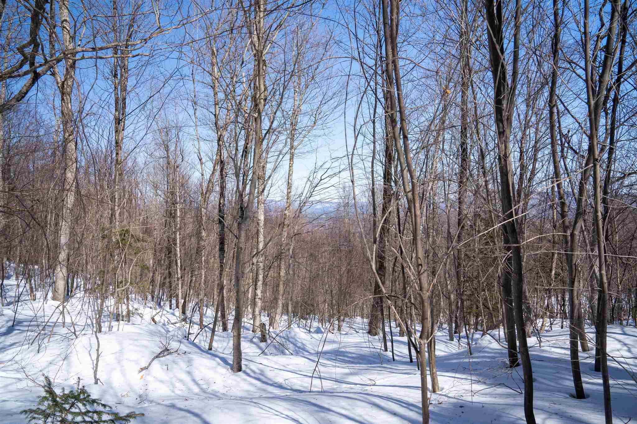 0 Old Ridge Road, Unit LOT 3 Winhall, VT 05340 - Photo 19 of 20