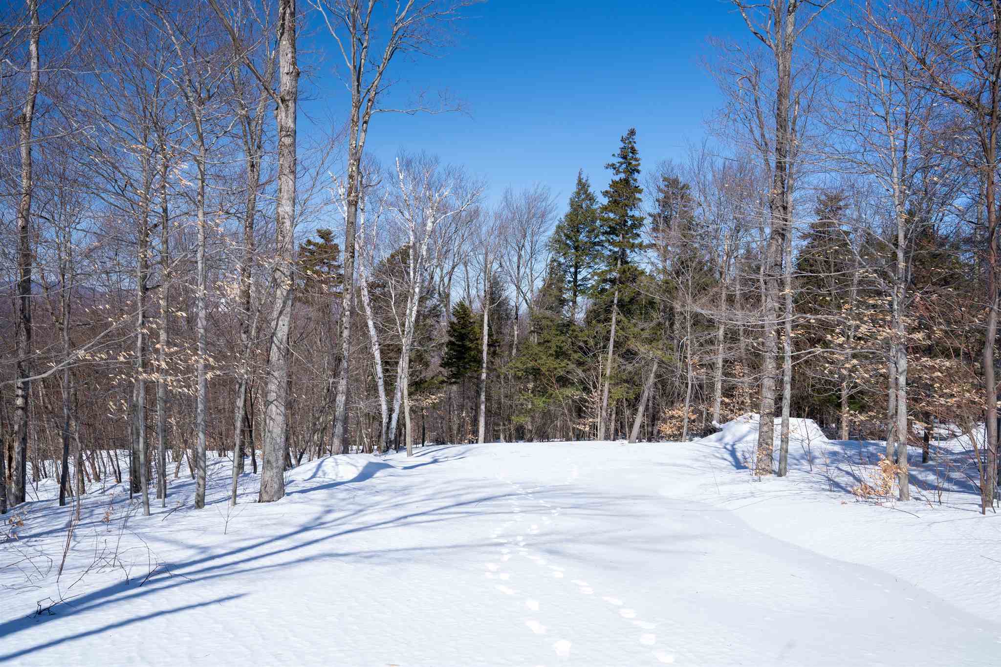 0 Old Ridge Road, Unit LOT 3 Winhall, VT 05340 - Photo 20 of 20