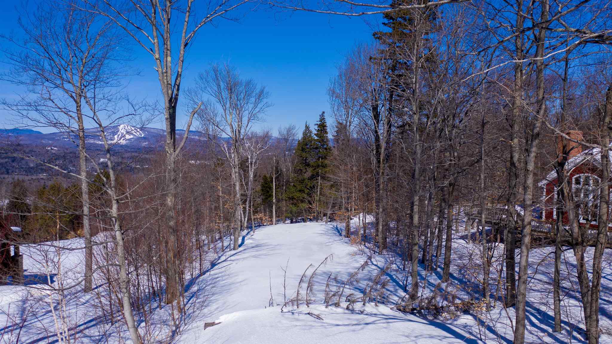 0 Old Ridge Road, Unit LOT 3 Winhall, VT 05340 - Photo 3 of 20