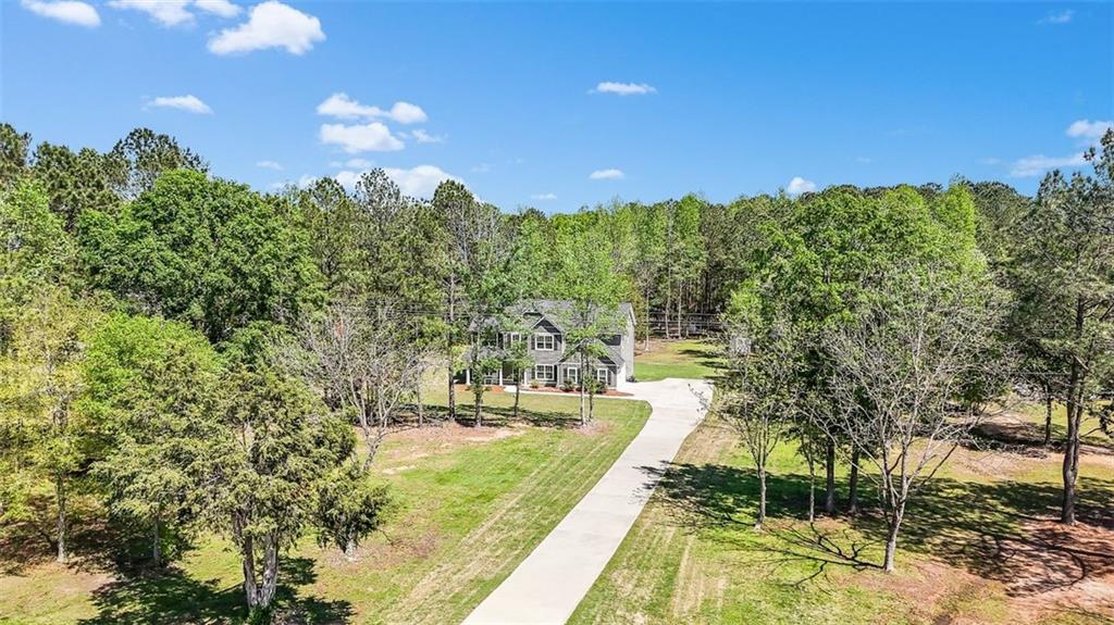 a view of a yard with plants