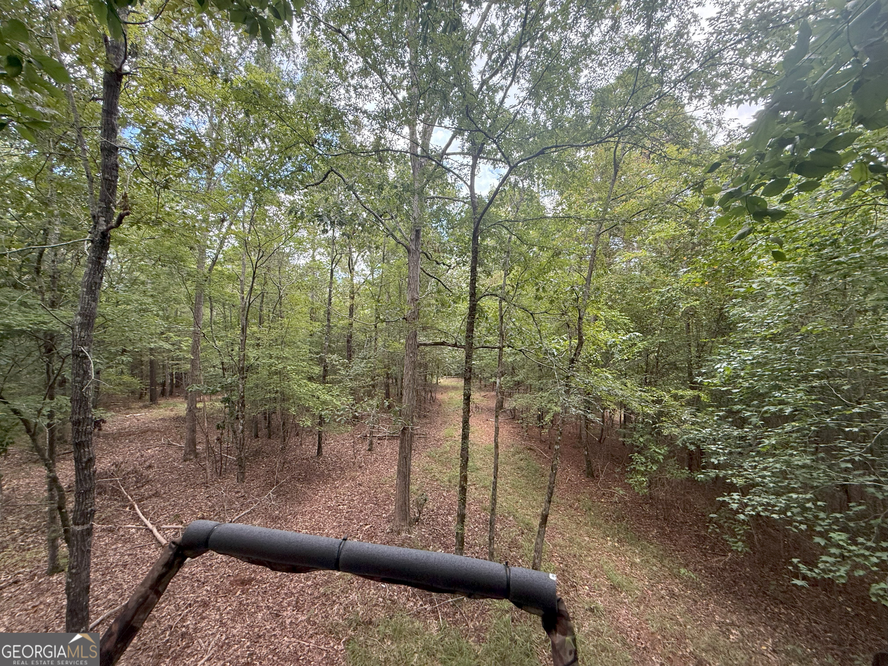 3 Bunch Road Tignall, GA 30668 - Photo 15 of 51 a view of a forest from a balcony