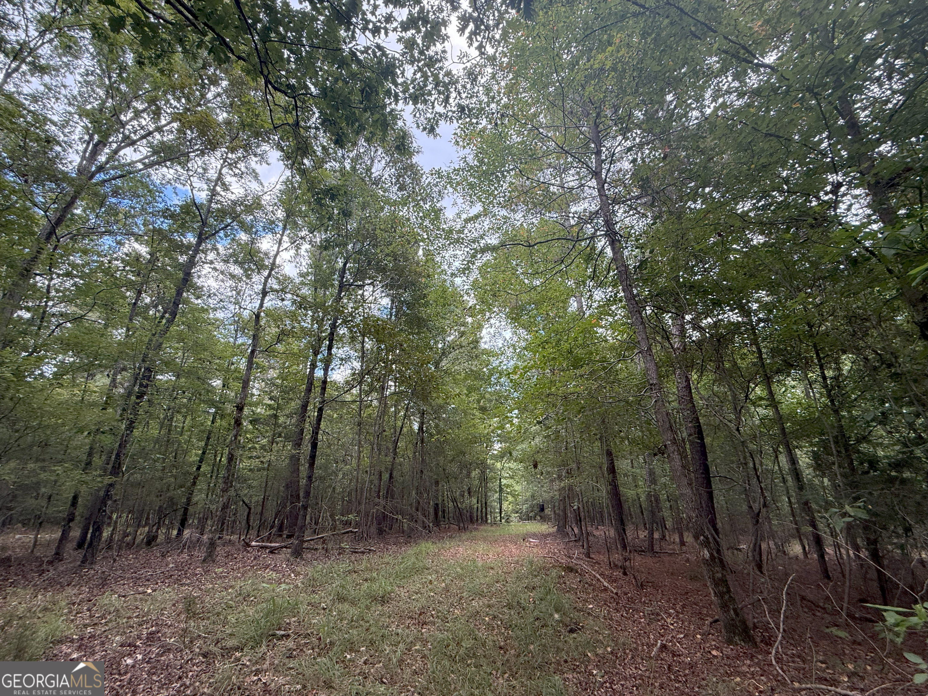3 Bunch Road Tignall, GA 30668 - Photo 17 of 51 a view of outdoor space and green space