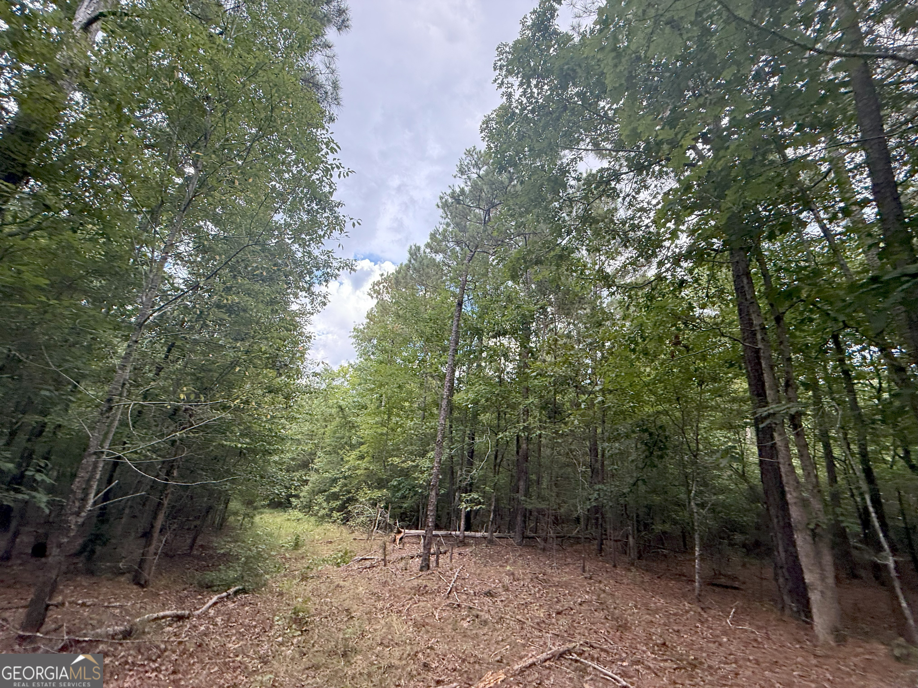 3 Bunch Road Tignall, GA 30668 - Photo 20 of 51 a view of outdoor space and trees