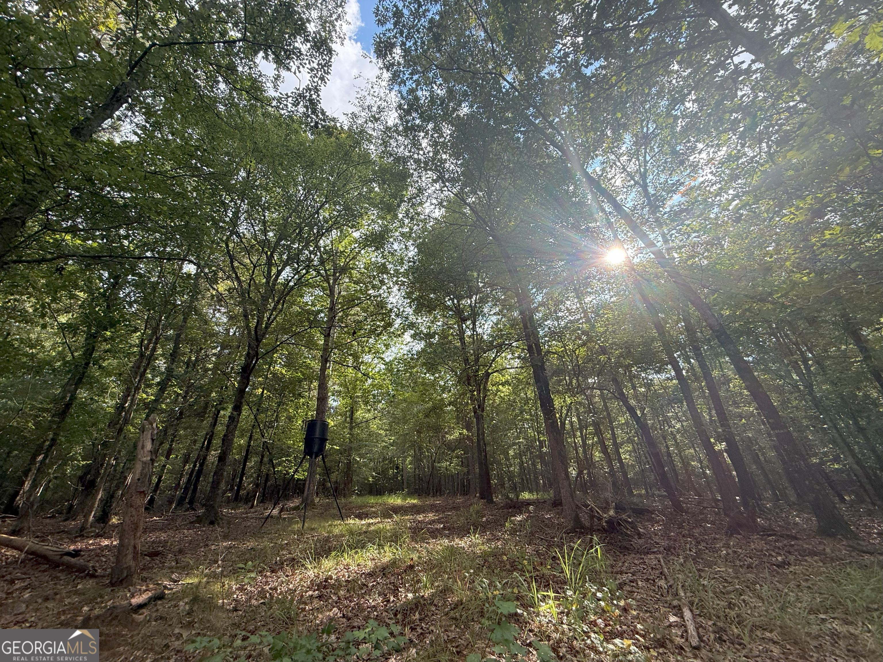 3 Bunch Road Tignall, GA 30668 - Photo 26 of 51 a view of outdoor space and trees
