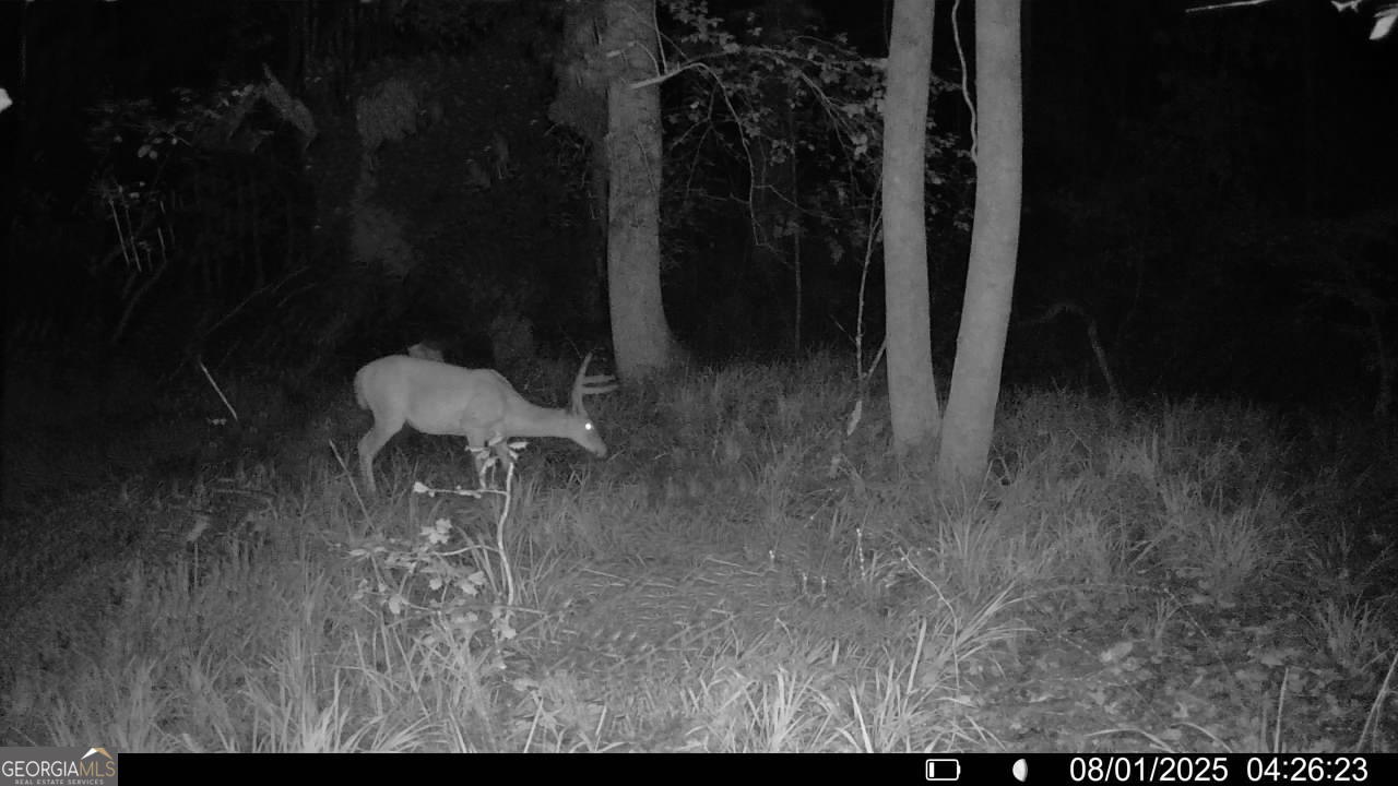 3 Bunch Road Tignall, GA 30668 - Photo 47 of 51 a view of a outdoor space