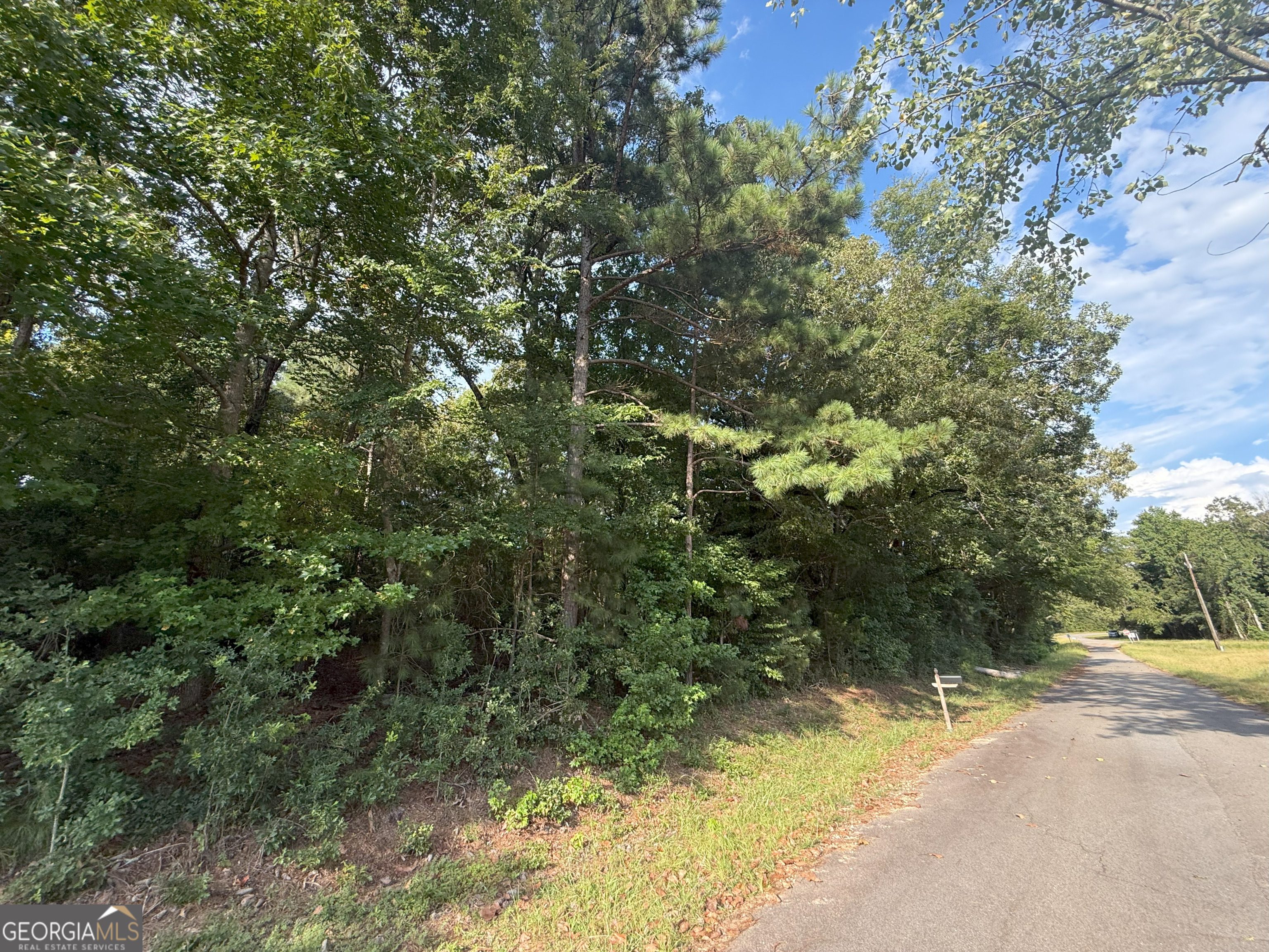 3 Bunch Road Tignall, GA 30668 - Photo 5 of 51 a view of a yard with plants and trees beside of road