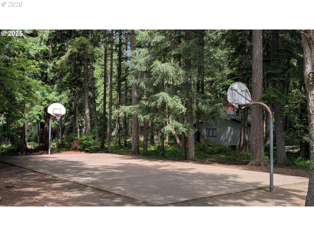 64920 East Mountain Meadow Lane Rhododendron, OR 97049 - Photo 45 of 46 Community Basketball