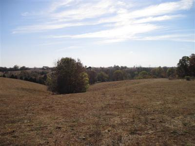 210 Fairview Road Williamstown, KY 41097 - Photo 7 of 12
