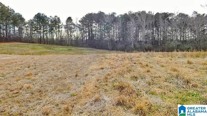 0 Highway 231, Unit 1 5 Oneonta, AL 35121 - Photo 5 of 23