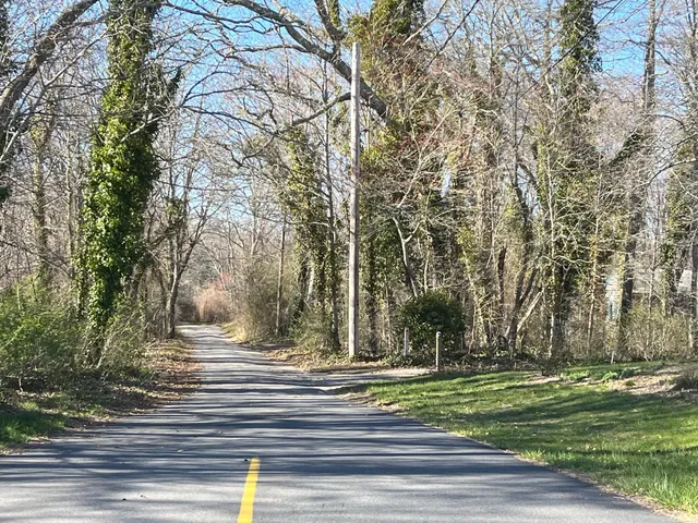 a view of a yard with large trees