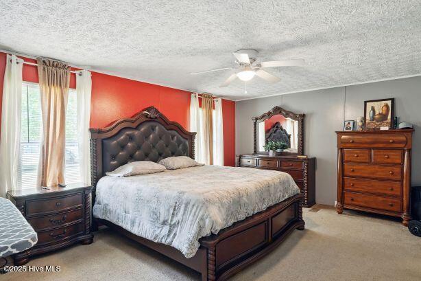 508 Chicken Neck Road Teachey, NC 28464 - Photo 13 of 21 508chickenneck15 - Copy - Copy