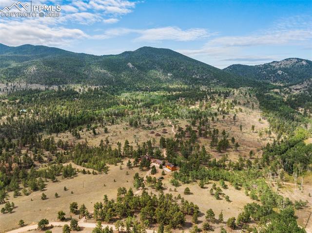 334 Pulver Road Lake George, CO 80827 - Photo 46 of 50 Gallery Image 46