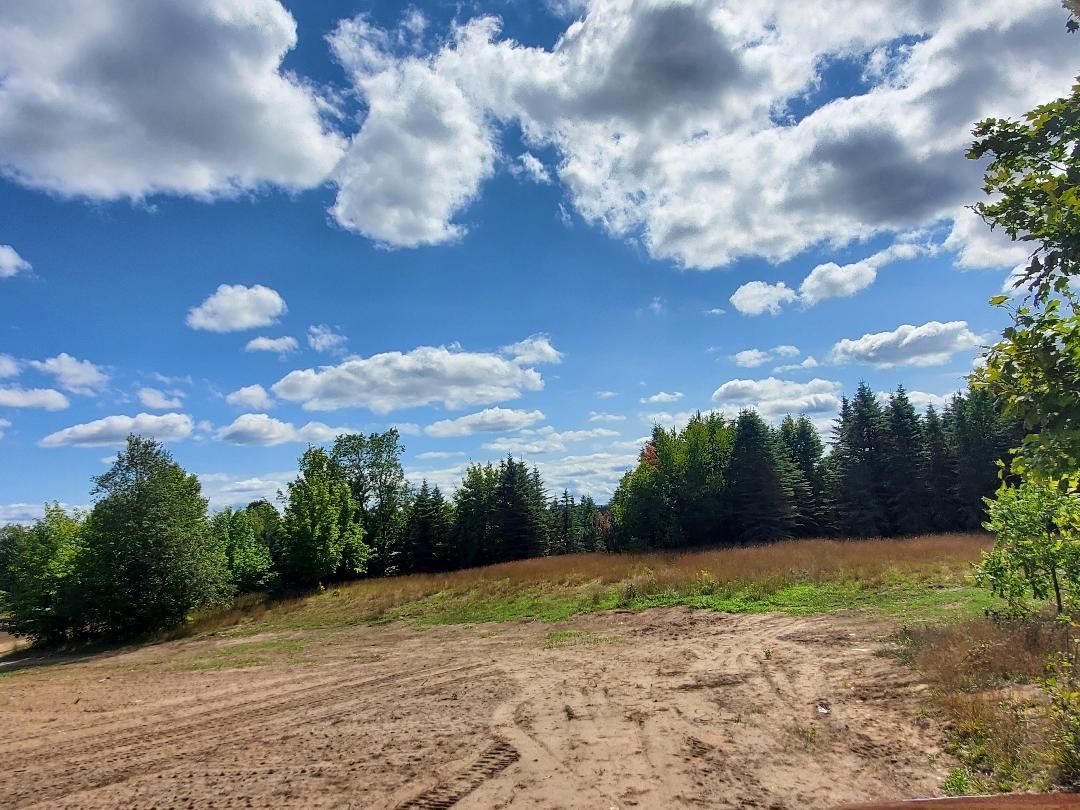 0 West 10 Road Mesick, MI 49668 - Photo 4 of 13