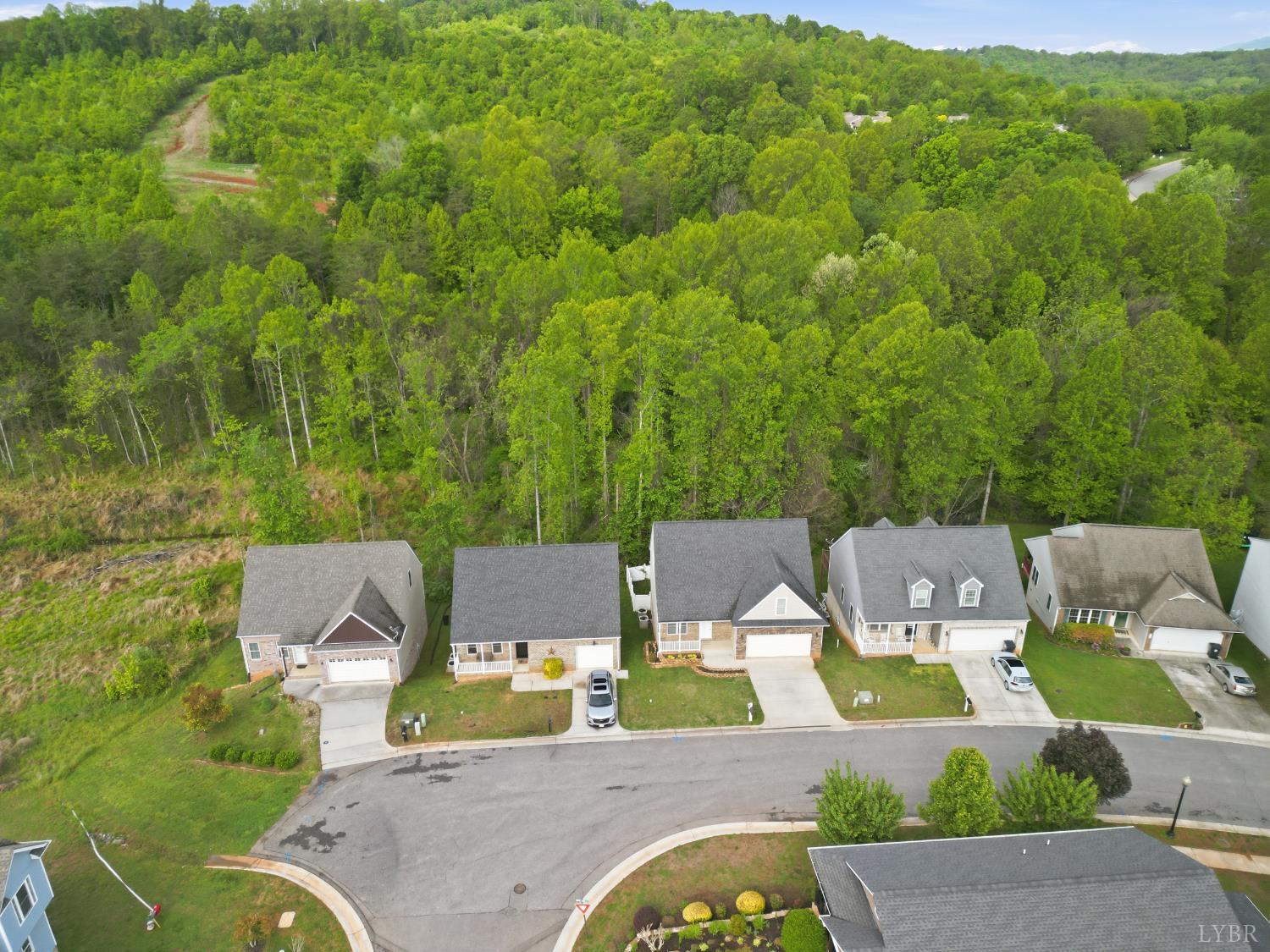 1198 Crest Ridge Drive Bedford, VA 24523 - Photo 2 of 40 an aerial view of a house with garden space and street view