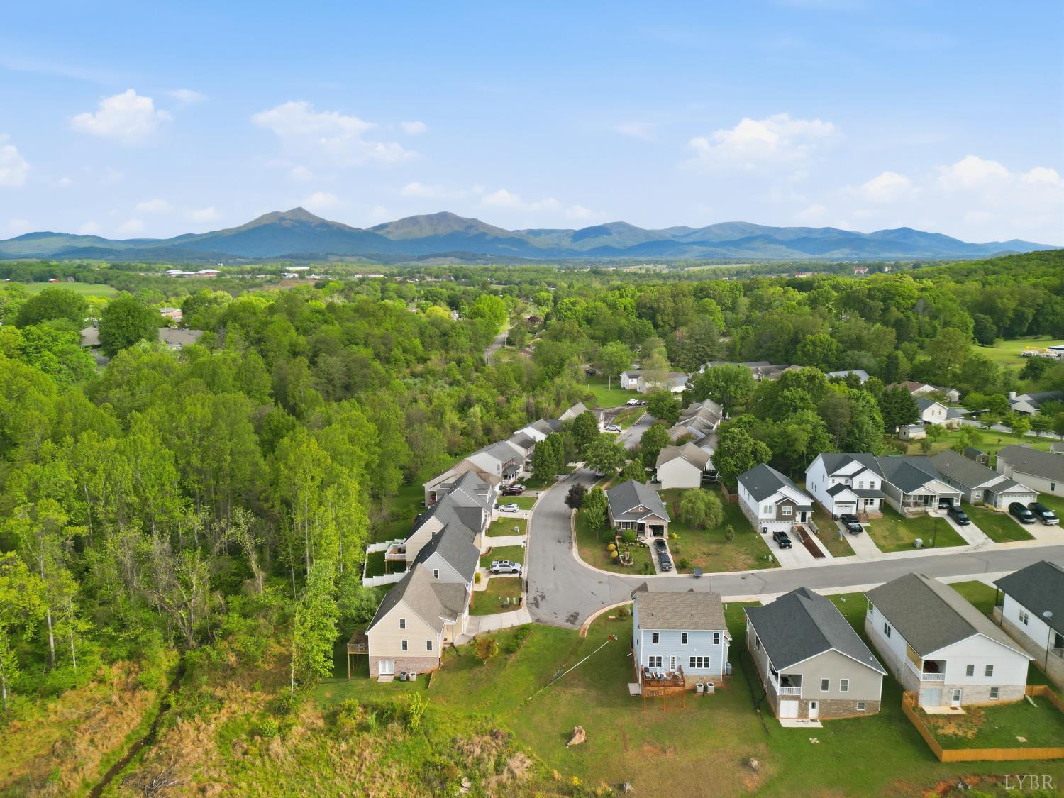 1198 Crest Ridge Drive Bedford, VA 24523 - Photo 40 of 40 an aerial view of residential houses with outdoor space and trees