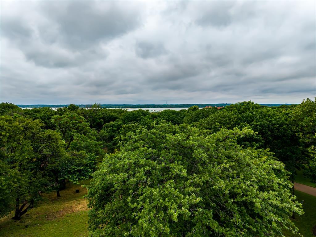 5901 Rue Jordan Flower Mound, TX 75022 - Photo 6 of 12 Expansive tree canopy with a distant body of water