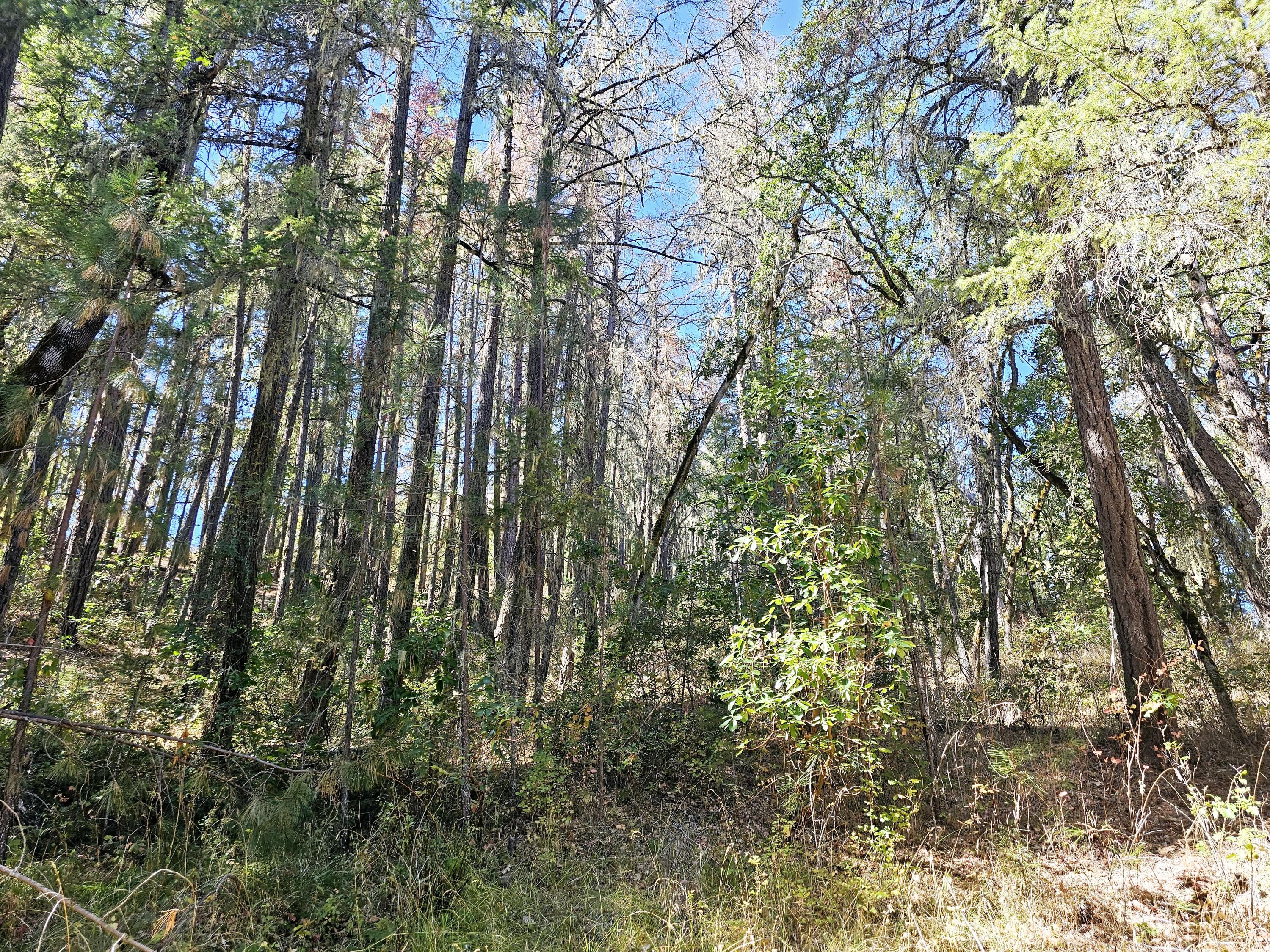 6531 Crowfoot Road Trail, OR 97541 - Photo 8 of 20 20240918_112410