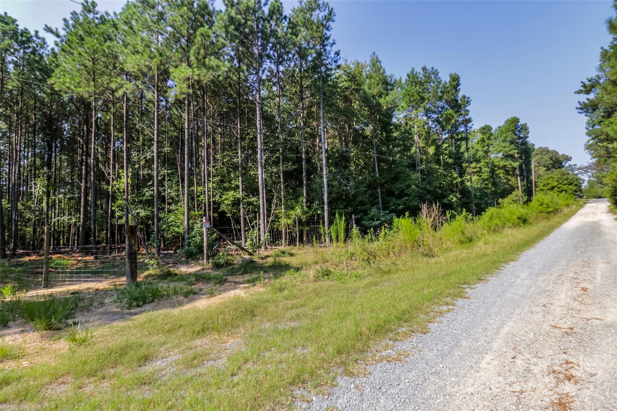 0 Shaw Avenue Waxhaw, NC 28173 - Photo 12 of 18 a view of a park with a tree